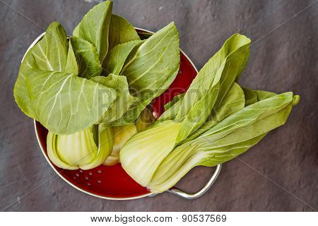 Three Pok Choi Cabbage In Red Colander On Gray Background, Top View