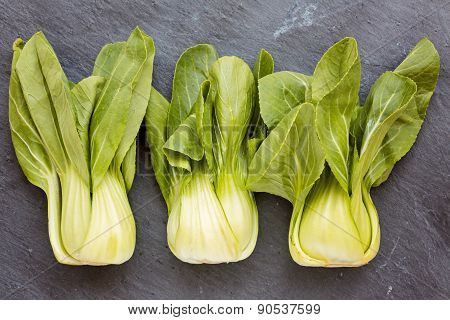Three Pok Choi Cabbage  On Gray Background, Top View