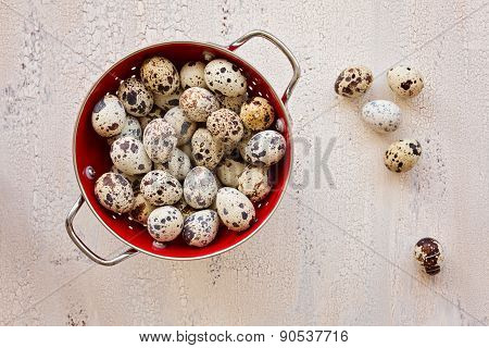 Quail Eggs In Red Collander On Light Wooden Background, Top View