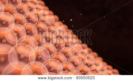 Many of orange cells arranged to a large ground inside the body