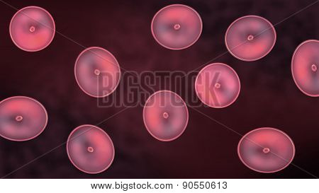 Pink Color Of Cells