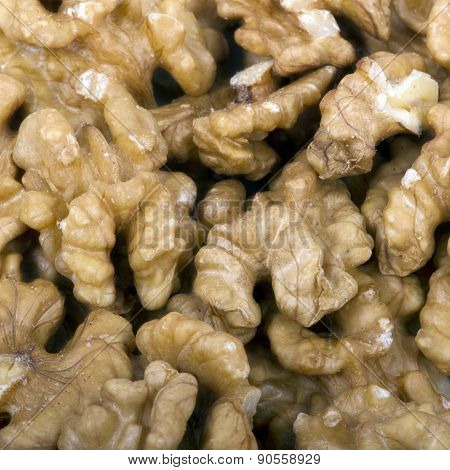 Yellow Walnut Kernels