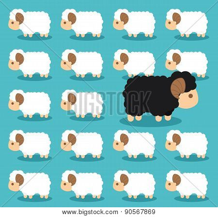 Black Sheep