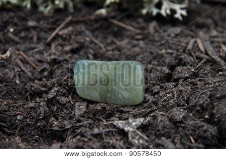 Moss Agate On Forest Floor