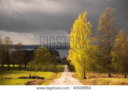 Dalecarlia Landscape