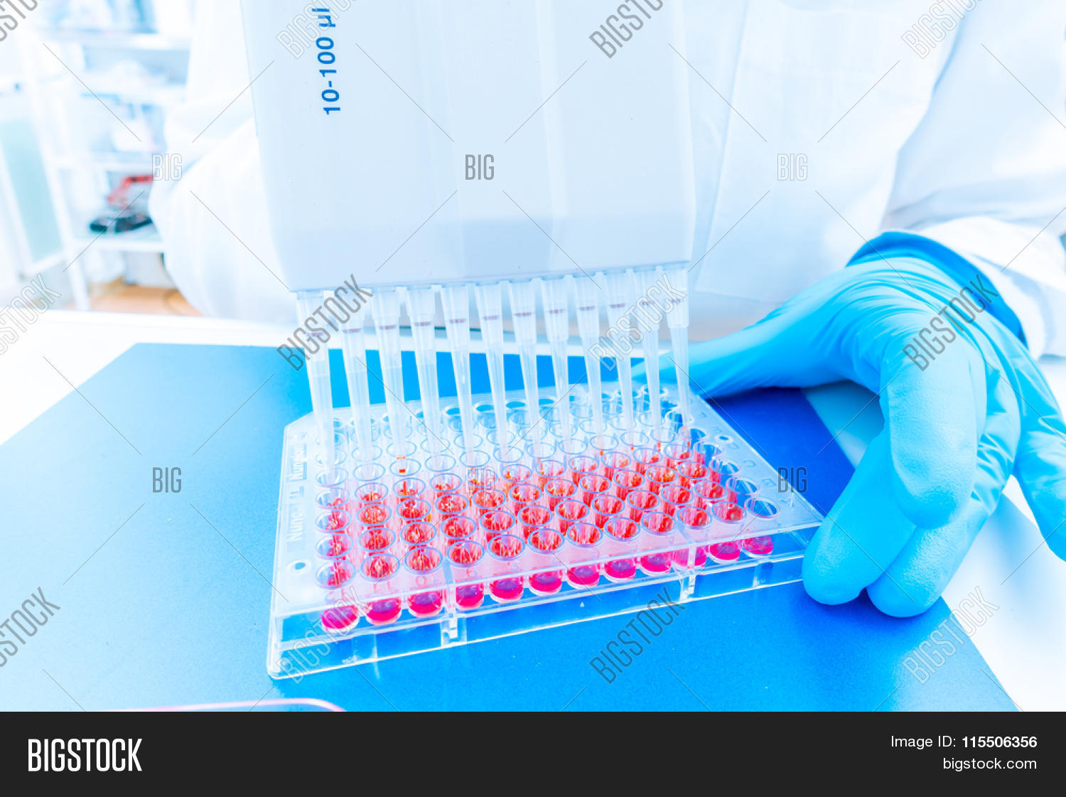 пцр лаборатория. лаборант (пцр, ифа). биостекла в медицине. лабораторная диагностика 2020. биоситаллы в стоматологии.