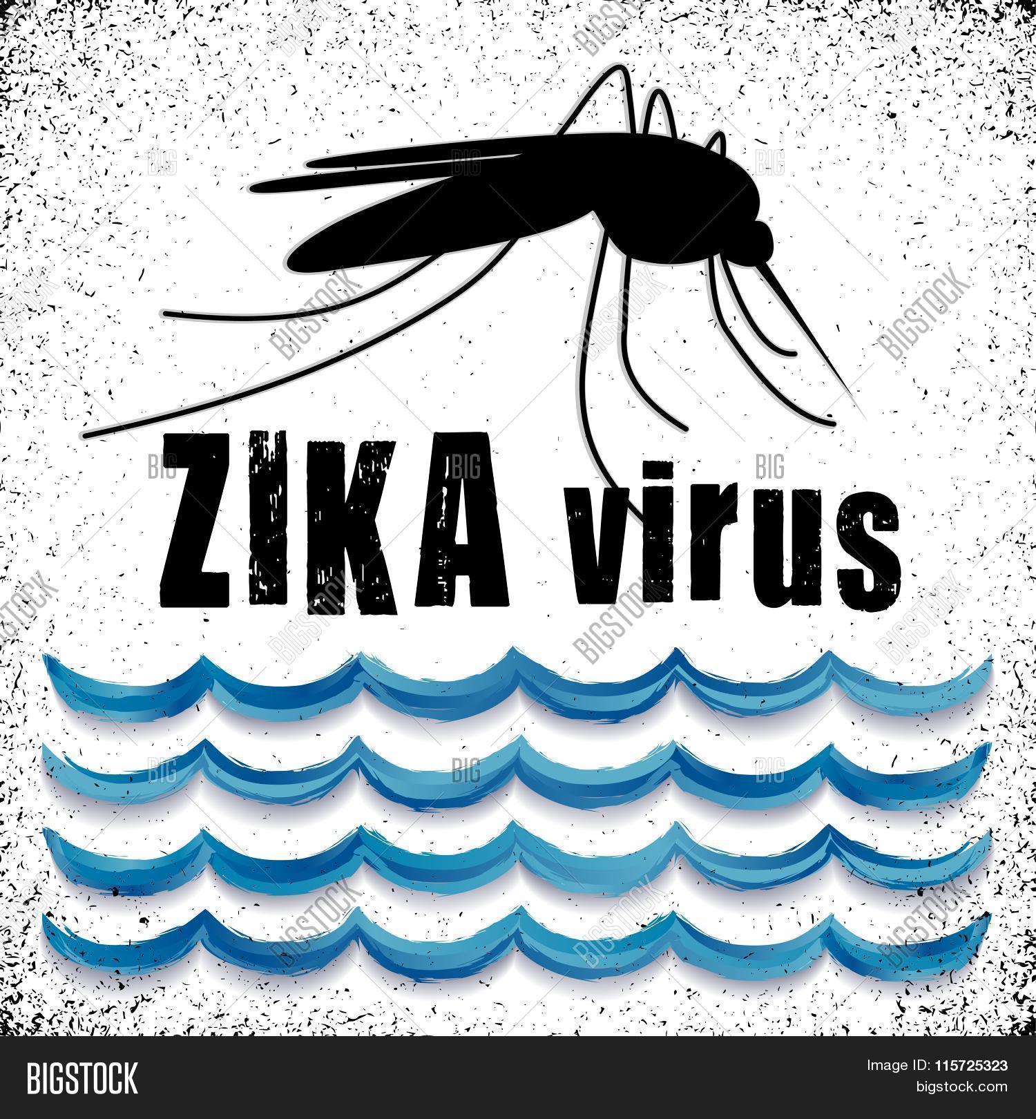 Zika Virus Mosquito, Vector & Photo (Free Trial) | Bigstock