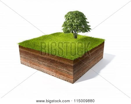Cross section of little island