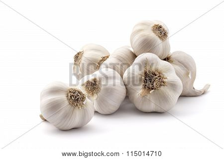 Pile of organic garlic