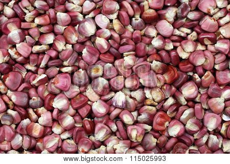 dry purple corn for background and texutre use