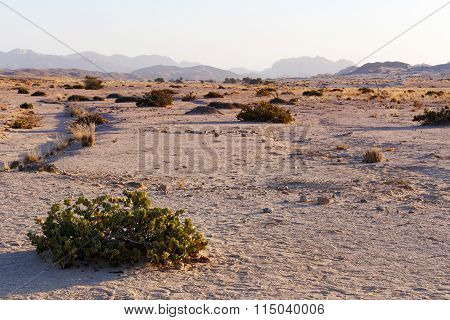 Fantastic Namibia Desert Landscape
