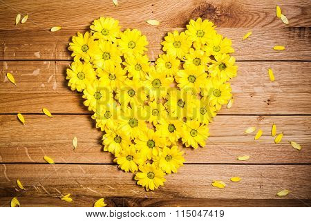 Fresh spring flowers in heart shape among petals on rustic grunge wood. Valentine's Day, love, Mother's Day etc concepts.