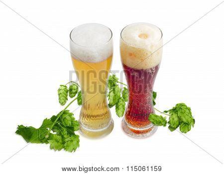 Two Beer Glass Of Various Beer And Branch Of Hops