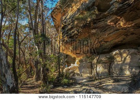The Blue Mountains NSW