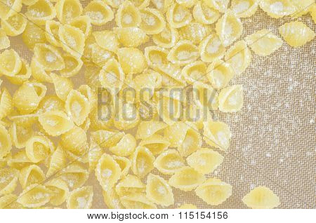 Pasta Conchigliette In Flour On The Table