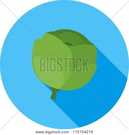 Cabbage