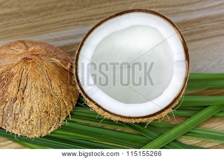 close up of a coconut