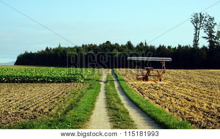 Track On The Field