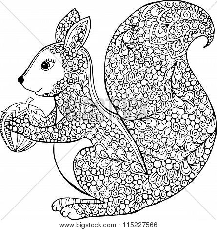 Hand drawn vector outline squirrel illustration