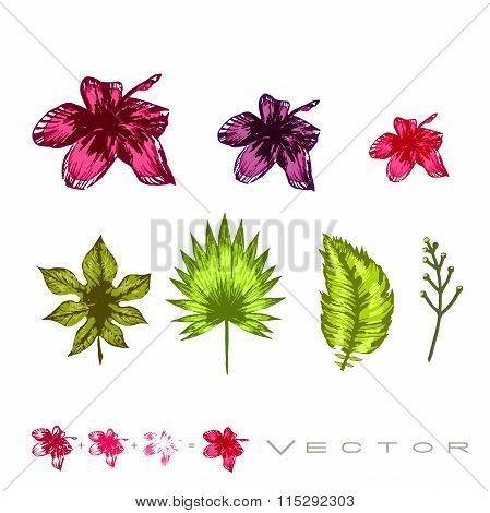 Set Of Tropic Flowers Vector
