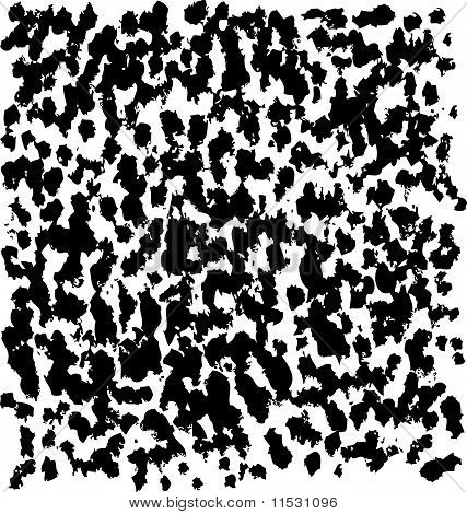 ร่างพื้นหลัง