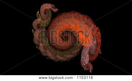 Fractal abstrato caracol
