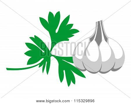 Vector Illustration. Grey Garlic With Green Parsley, Isolated Over White Background.series Of Food A
