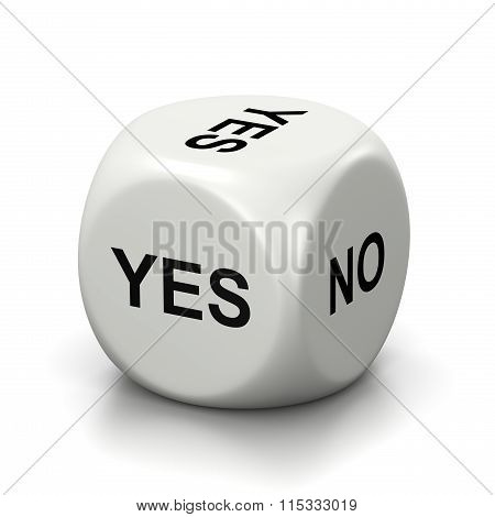Yes Or No White Dice