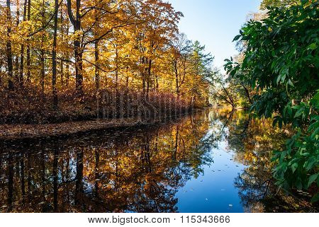 Autumn pond in park