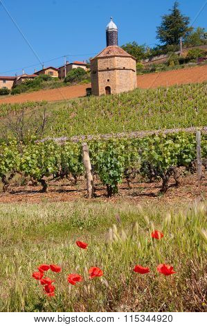bagnols,rhone,france
