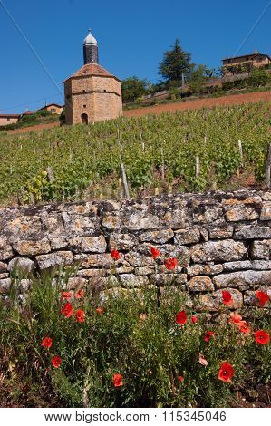 bagnols,rhone,france