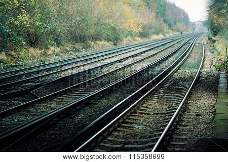 Honor Oak Tracks Bright