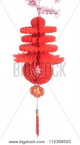 Chinese Lantern on Plum Branch,Isolated on White,lanterm shape like Chinese calligraphy: chun which Translation: spring