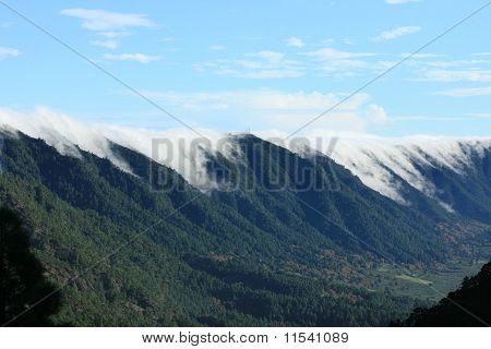 산에 안개