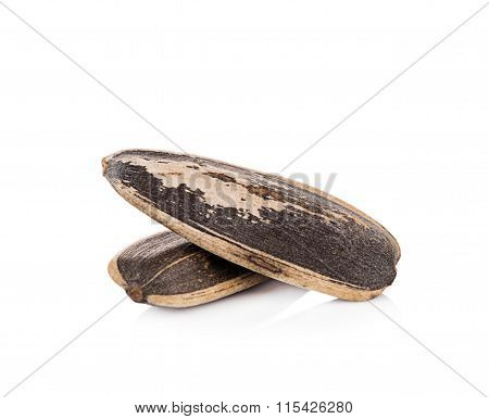 Closeup sunflower seeds pile against white background