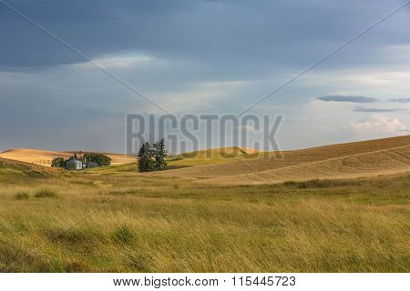 View over wheat fields from Steptoe Butte, Palouse Valley, eastern Washington State.