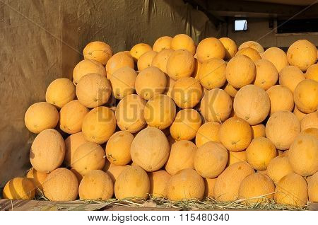 Round yellow Uzbek melons are in the truck