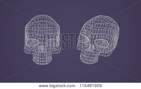 Skull - Head