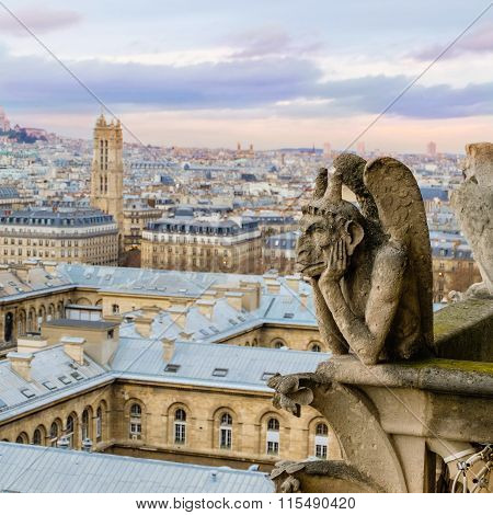 Gargoyle of notre dame