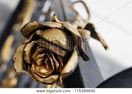 gold rose