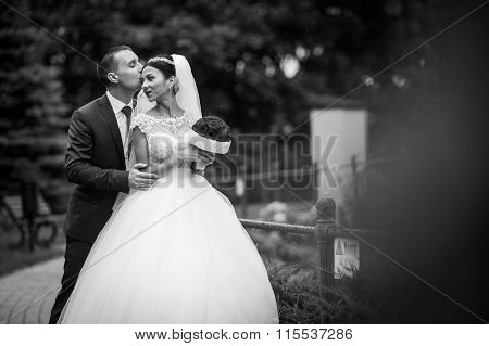 Newlywed Valentynes Posing And Hugging In A Romantic European Park With Roses Bouquet B&w