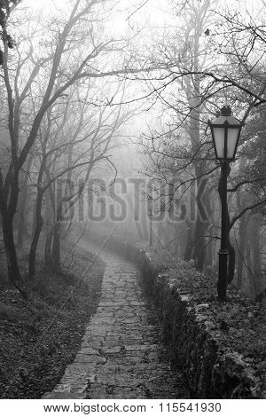 Stone Footpath And Street Lights In The Park.