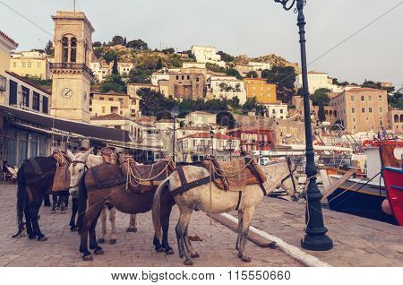 Original Hydra Island in Greece