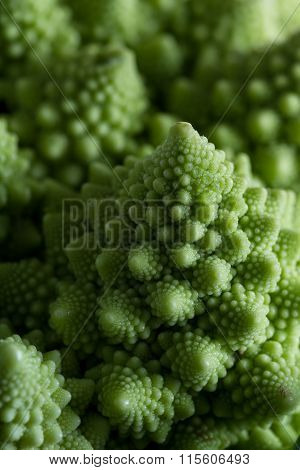 Romanesco Broccoli Close Up