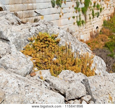 The Old  Temple And Theatre In Termessos Antalya Turkey Asia Sky And Ruins