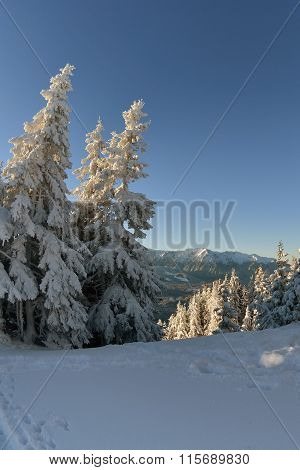 Winter Story. Sunrise At The Top Of Postavarul Mountain. Brasov Romania. Low Key, Dark Background, S
