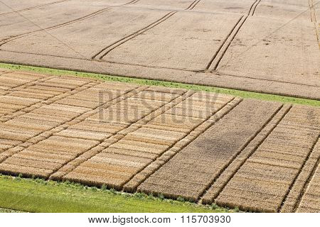 Agricultural Trial Fields In Mecklenburg, Germany