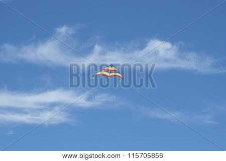 Flying Kite