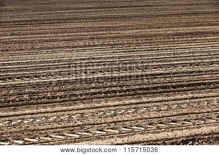 Agricultural Field, Which Was Plowed For Sowing Crops. Spring