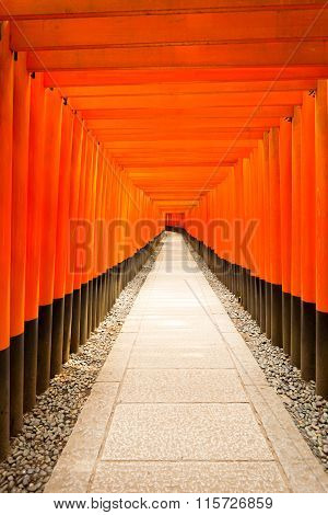 Fushimi Inari Shrine Nobody Centered Middle Torii